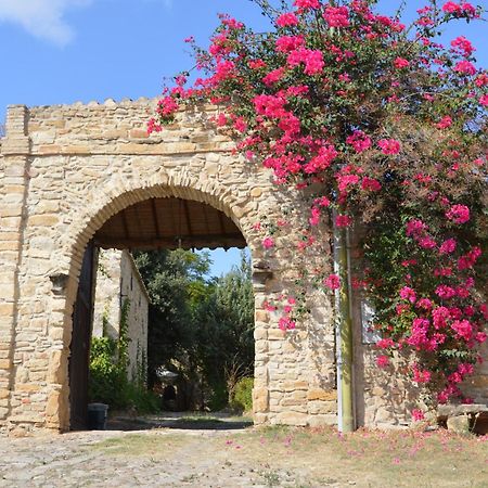 Bed and Breakfast Sa Domu De Sa Contissa Selegas Экстерьер фото